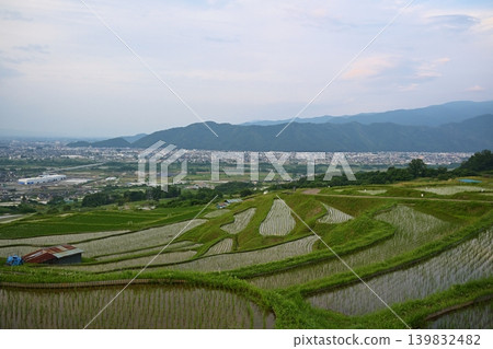 Obasute rice terraces at dusk, Nagano Obasute rice terraces at dusk, Nagano 139832482