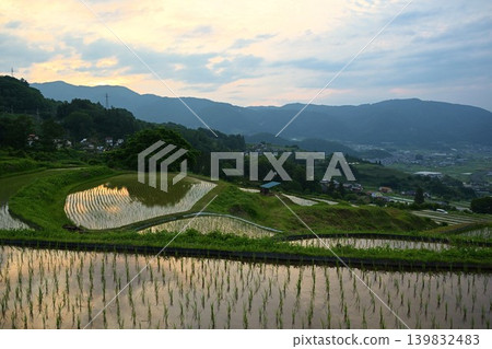 Obasute rice terraces at dusk, Nagano Obasute rice terraces at dusk, Nagano 139832483