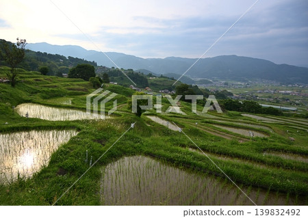 Obasute rice terraces at dusk, Nagano Obasute rice terraces at dusk, Nagano 139832492