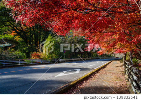 Scenery of Kuragari Valley in Okazaki City (Aichi Prefecture) Scenery of Kuragari Valley in Okazaki City (Aichi Prefecture) 139832541