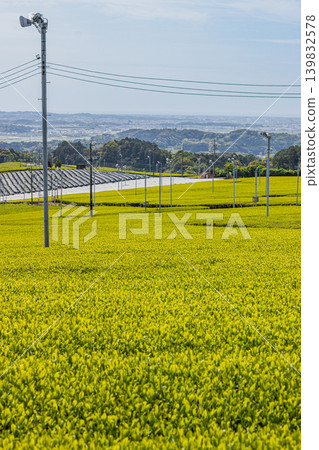 A landscape of tea plantations in Iwata City (Shizuoka Prefecture) A landscape of tea plantations in Iwata City (Shizuoka Prefecture) 139832578