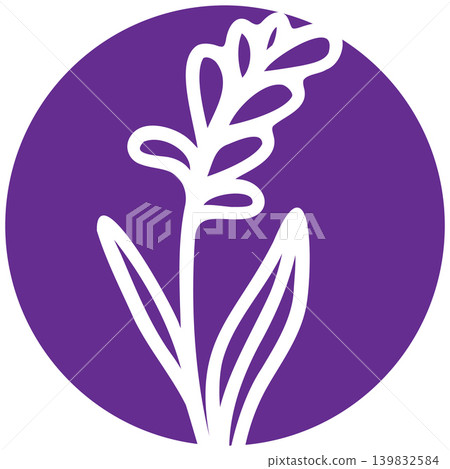 Lavender flower over the white background Lavender flower over the white background 139832584