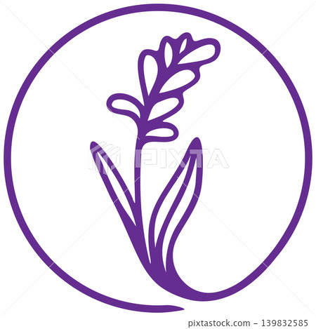 Lavender flower over the white background Lavender flower over the white background 139832585