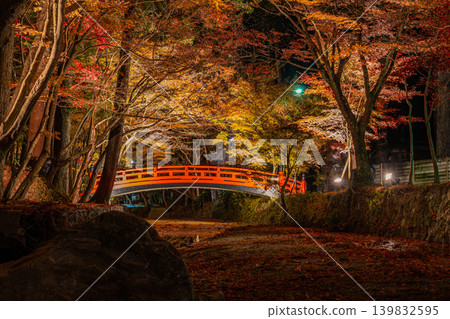 Autumn foliage at Oguni Shrine, Ichinomiya, Totomi Province, Morimachi (Shizuoka Prefecture) Autumn foliage at Oguni Shrine, Ichinomiya, Totomi Province, Morimachi (Shizuoka Prefecture) 139832595