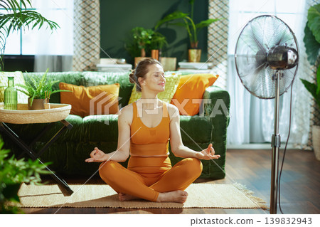 Tranquil Home Meditation with a Floor Fan 139832943