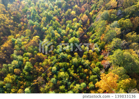 Colorful woods with yellow and orange canopies in autumn forest. Landscape of wild nature in autumn Colorful woods with yellow and orange canopies in autumn forest. Landscape of wild nature in autumn 139833136