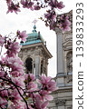 Beautiful pink magnolia blossoms in spring with historic building in background 139833293