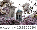Beautiful pink magnolia blossoms in spring with historic building in background 139833294