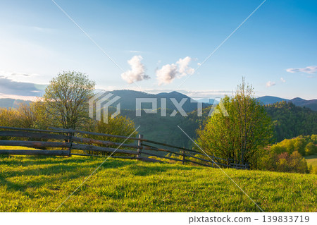 mountainous rural landscape of ukraine in spring. lovely view of valley fields. alpine meadow on a sunny afternoon. carpathian mountains countryside with forest near pasture. earth day background mountainous rural landscape of ukraine in spring. lovely view of valley fields. alpine meadow on a sunny afternoon. carpathian mountains countryside with forest near pasture. earth day background 139833719