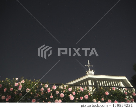 Roses, a gazebo, and a starry sky (20260515032500) Roses, a gazebo, and a starry sky (20260515032500) 139834221