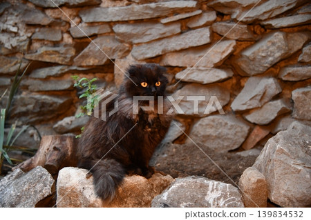 Natural stone granite wall. Seamless texture. Perfect tiled 139834532
