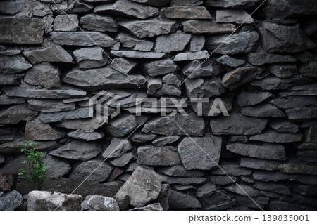 Aged castle stone wall with ivy cracks seamless tileable for atmospheric mobile RPG dungeon 139835001