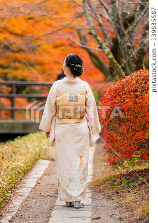 A woman in a kimono walks down a path lined with brightly colored Enkianthus perulatus bushes, seen from behind. Kyoto Prefecture, Japan. A woman in a kimono walks down a path lined with brightly colored Enkianthus perulatus bushes, seen from behind. Kyoto Prefecture, Japan. 139835587