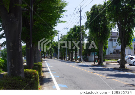 Kashiwanoha Park area, Kashiwa City, Chiba Prefecture, May 2026 139835724
