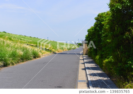 Scenery of Minami-Nagareyama, Nagareyama City, Chiba Prefecture, May 2026 139835765