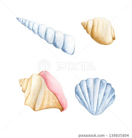 Watercolor set of various sea shells isolated on white background. Hand drawn  marine underwater collection for beach-themed design, summer vacation projects, tropical decor, and nautical branding. 139835804