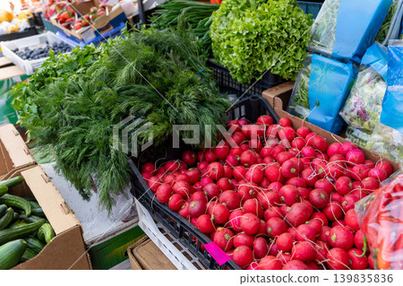 Fresh herbs, radish, cucumber and lettuce Fresh herbs, radish, cucumber and lettuce 139835836
