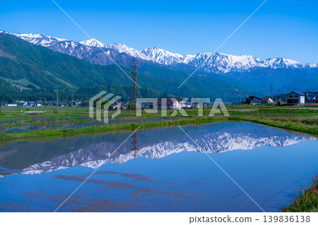 【初夏景色】初夏時節,白馬村稻田裡注滿水的景象【長野縣】 【初夏景色】初夏時節,白馬村稻田裡注滿水的景象【長野縣】 139836138