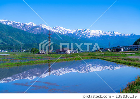 【初夏景色】初夏時節,白馬村稻田裡注滿水的景象【長野縣】 【初夏景色】初夏時節,白馬村稻田裡注滿水的景象【長野縣】 139836139