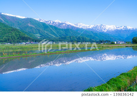 【初夏景色】初夏時節,白馬村稻田裡注滿水的景象【長野縣】 【初夏景色】初夏時節,白馬村稻田裡注滿水的景象【長野縣】 139836142