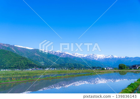 【初夏景色】初夏時節,白馬村稻田裡注滿水的景象【長野縣】 【初夏景色】初夏時節,白馬村稻田裡注滿水的景象【長野縣】 139836143
