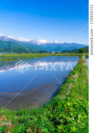 【初夏景色】初夏時節,白馬村稻田裡注滿水的景象【長野縣】 【初夏景色】初夏時節,白馬村稻田裡注滿水的景象【長野縣】 139836151