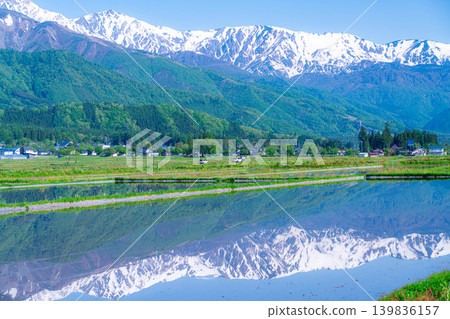 [Early Summer Scenery] A scene of Hakuba Village in early summer with rice paddies filled with water [Nagano Prefecture] 139836157
