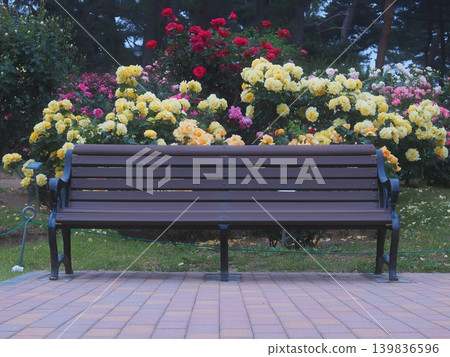 被玫瑰花環繞的公園長椅（20260515044038） 139836596