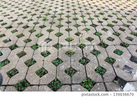 landscaping, walkway, geometric pattern 139836670