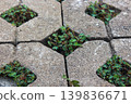 Close up photo of small green weeds and grass growing between interlocking concrete paving blocks 139836671