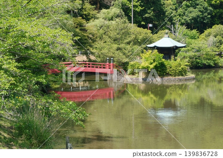 城光寺公園松電池 139836728