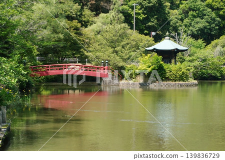 城光寺公園松電池 城光寺公園松電池 139836729