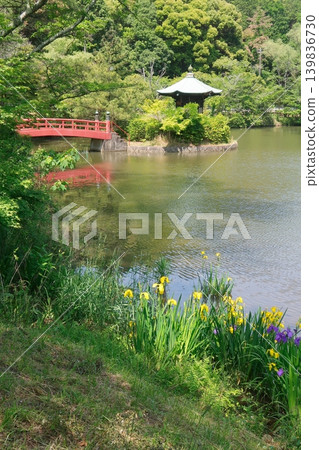 城光寺公園松電池 城光寺公園松電池 139836730