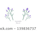 Lavender color illustration 139836737