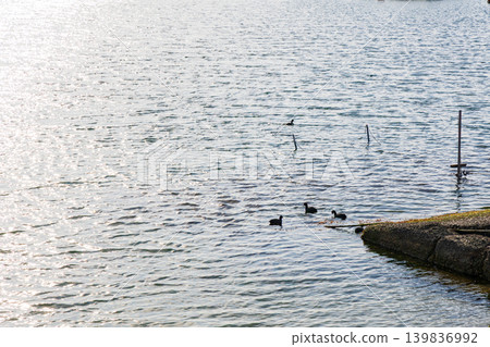 陽光明媚的海灘背景圖片 陽光明媚的海灘背景圖片 139836992