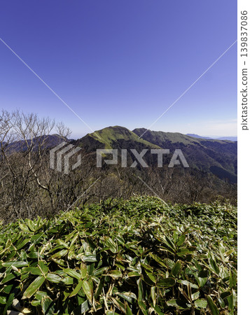 Mountain climbing/trekking: The vast bamboo grass fields of Mt. Kamegamori bathed in the early summer sun. Mountain climbing/trekking: The vast bamboo grass fields of Mt. Kamegamori bathed in the early summer sun. 139837086