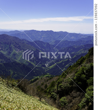 登山/健行:龜森山的廣闊竹林沐浴在初夏的陽光下。 登山/健行:龜森山的廣闊竹林沐浴在初夏的陽光下。 139837092