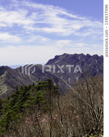 登山/健行:龜森山的廣闊竹林沐浴在初夏的陽光下。 登山/健行:龜森山的廣闊竹林沐浴在初夏的陽光下。 139837096