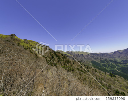 登山/健行:龜森山的廣闊竹林沐浴在初夏的陽光下。 登山/健行:龜森山的廣闊竹林沐浴在初夏的陽光下。 139837098