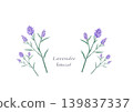 Lavender color illustration 139837337