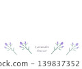Lavender color illustration 139837352
