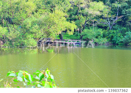 Sa玉縣吉見町Hatcho Lake Sa玉縣吉見町Hatcho Lake 139837362