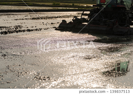 A scene with a tractor working in a field. A scene with a tractor working in a field. 139837513