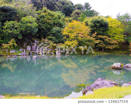 天龍寺草源池庭園美麗的清新綠植和池塘景色。 139837559