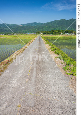 Rural landscape of Okubiwako, Makino-cho, Takashima City, Shiga Prefecture 139837631