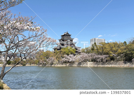 廣島城堡的春天 廣島城堡的春天 139837801