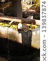 Kamigamo Shrine 139837874