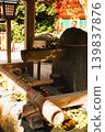 Kamigamo Shrine 139837876