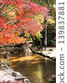 Kamigamo Shrine 139837881