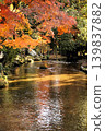 Kamigamo Shrine 139837882